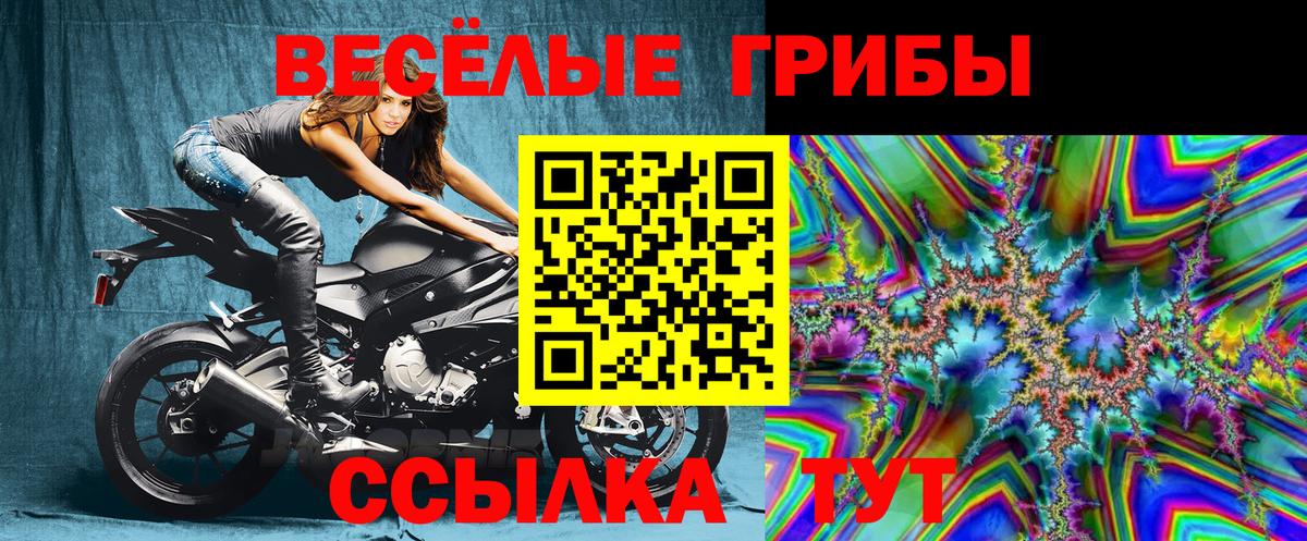 Галлюциногенные грибы Psilocybe Коряжма