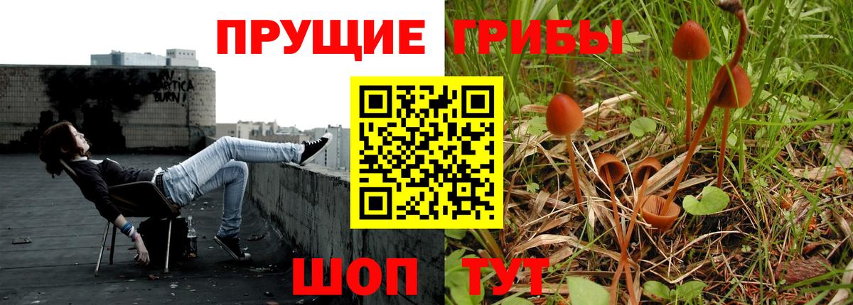 Коряжма  Псилоцибиновые грибы MAGIC MUSHROOMS  Вход с VPN 